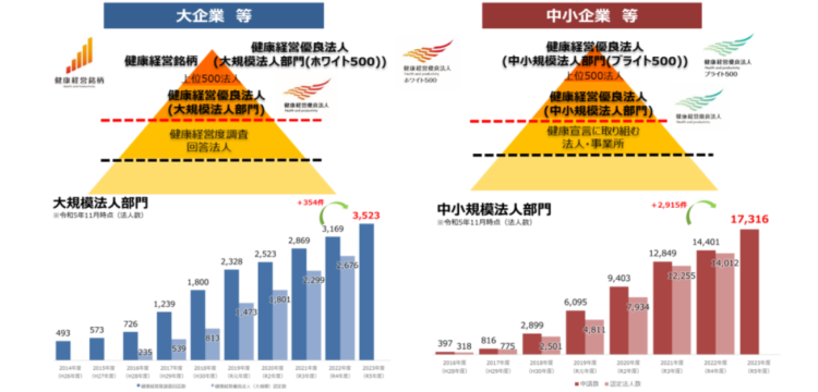 健康ビジネス起業