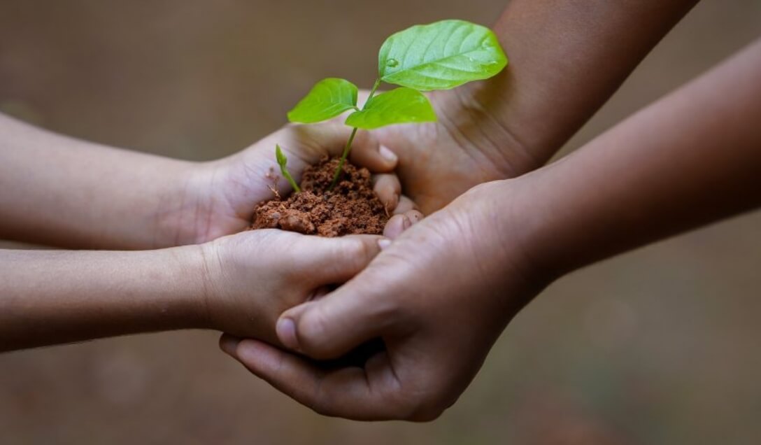コーヒー生産国の社会問題