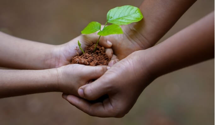 コーヒー生産国の社会問題