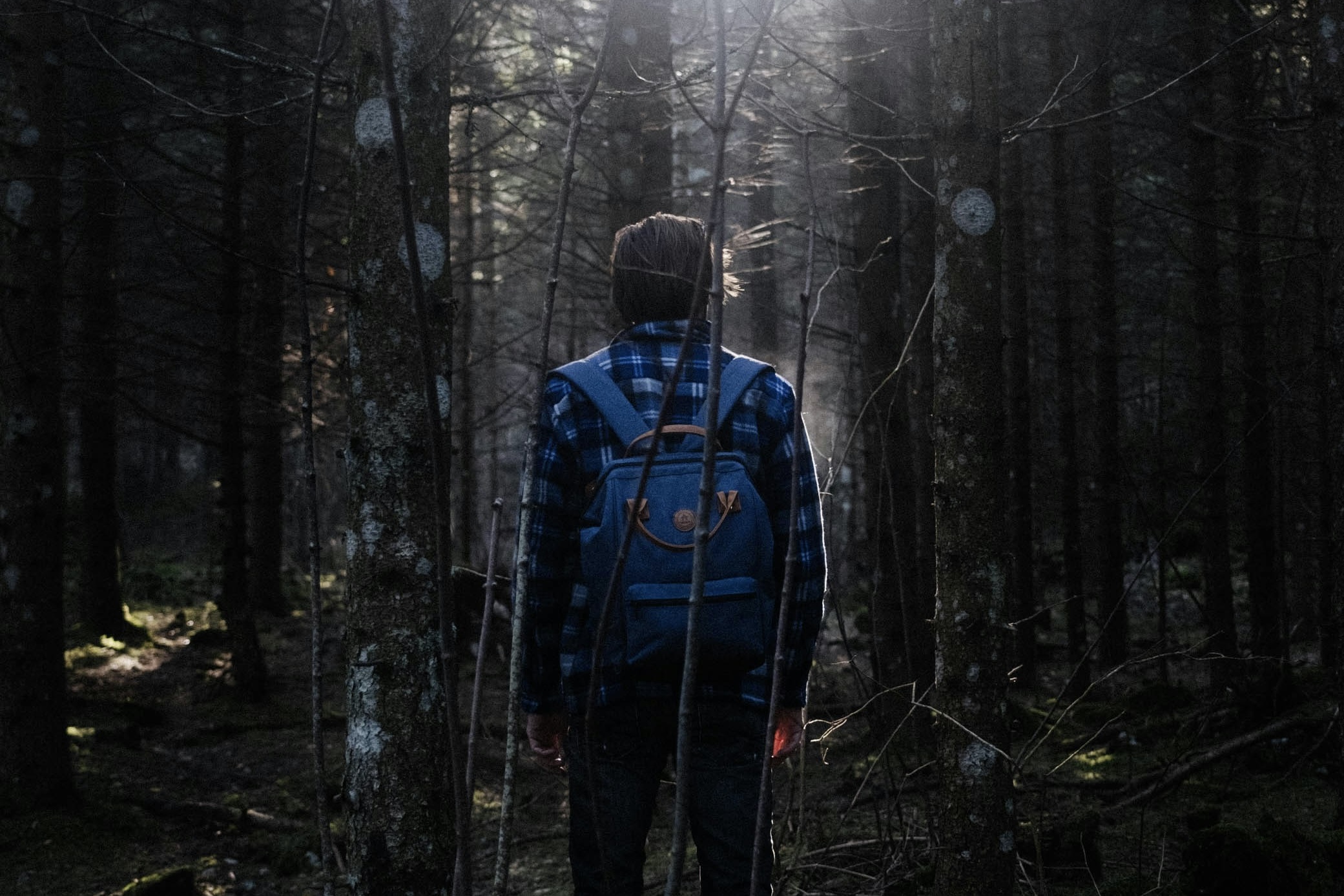 LCSと一緒に挑戦することにした理由はどんなところでしょうか?