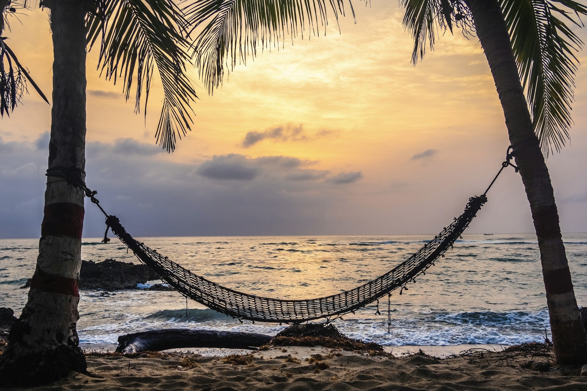 あなたのビジネス・挑戦を教えてください。