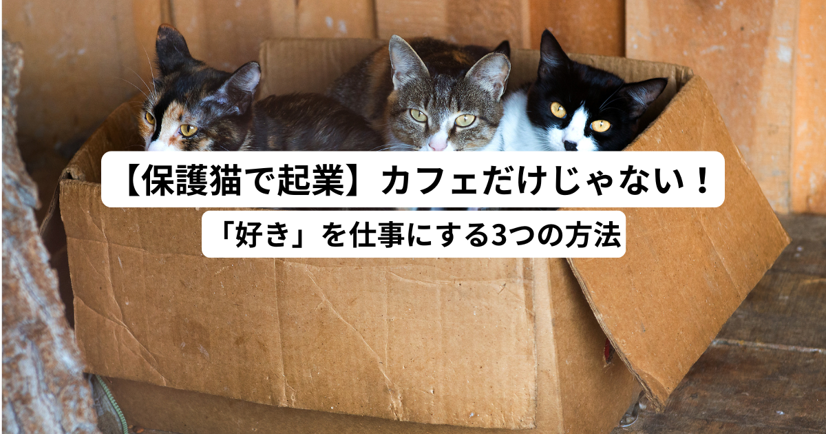 【保護猫で起業】カフェだけじゃない！「好き」を仕事にする3つの方法