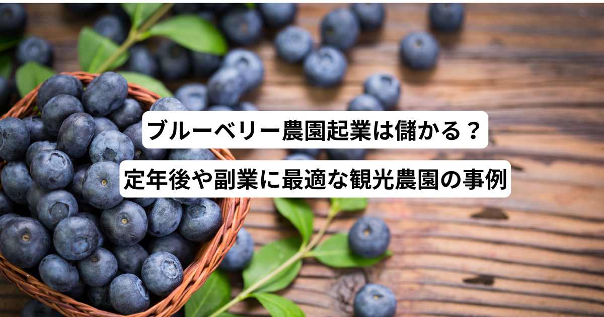 ブルーベリー農園起業は儲かる？定年後や副業に最適な観光農園の事例