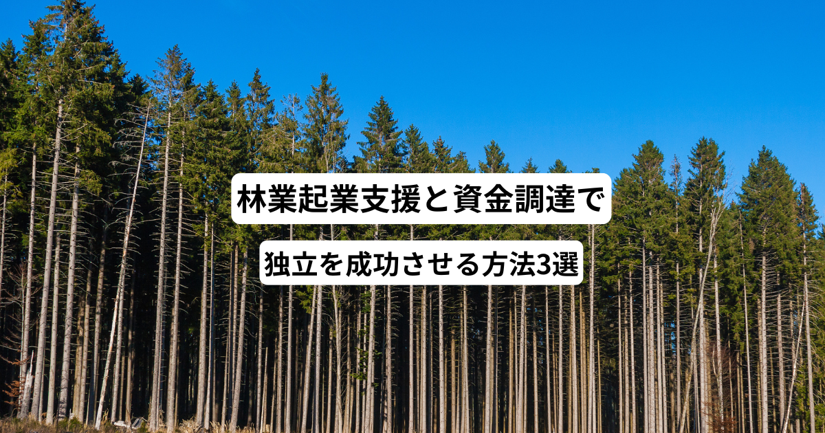 林業起業支援と資金調達で独立を成功させる方法3選