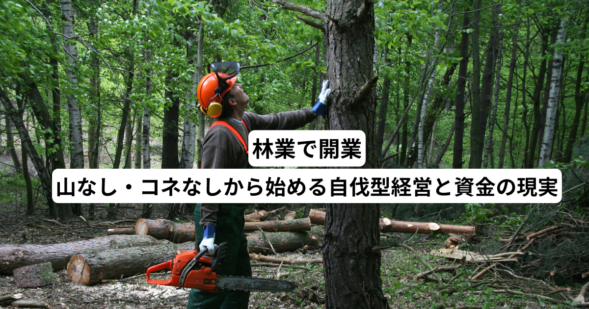 林業で開業｜山なし・コネなしから始める自伐型経営と資金の現実