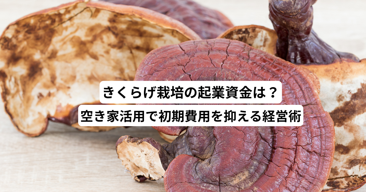 きくらげ栽培の起業資金は？空き家活用で初期費用を抑える経営術