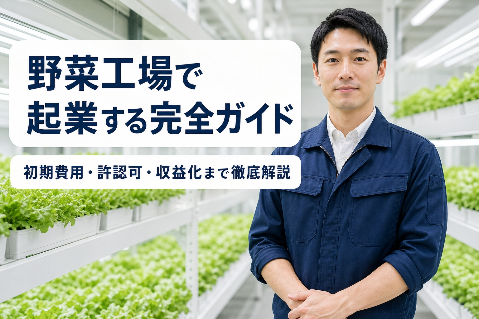野菜工場で起業する完全ガイド｜初期費用・許認可・収益化まで徹底解説
