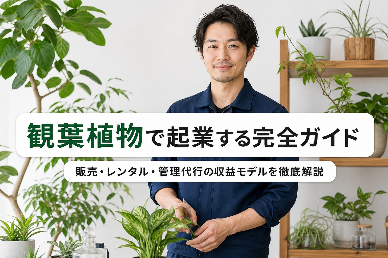 観葉植物で起業する完全ガイド｜販売・レンタル・管理代行の収益モデルを徹底解説