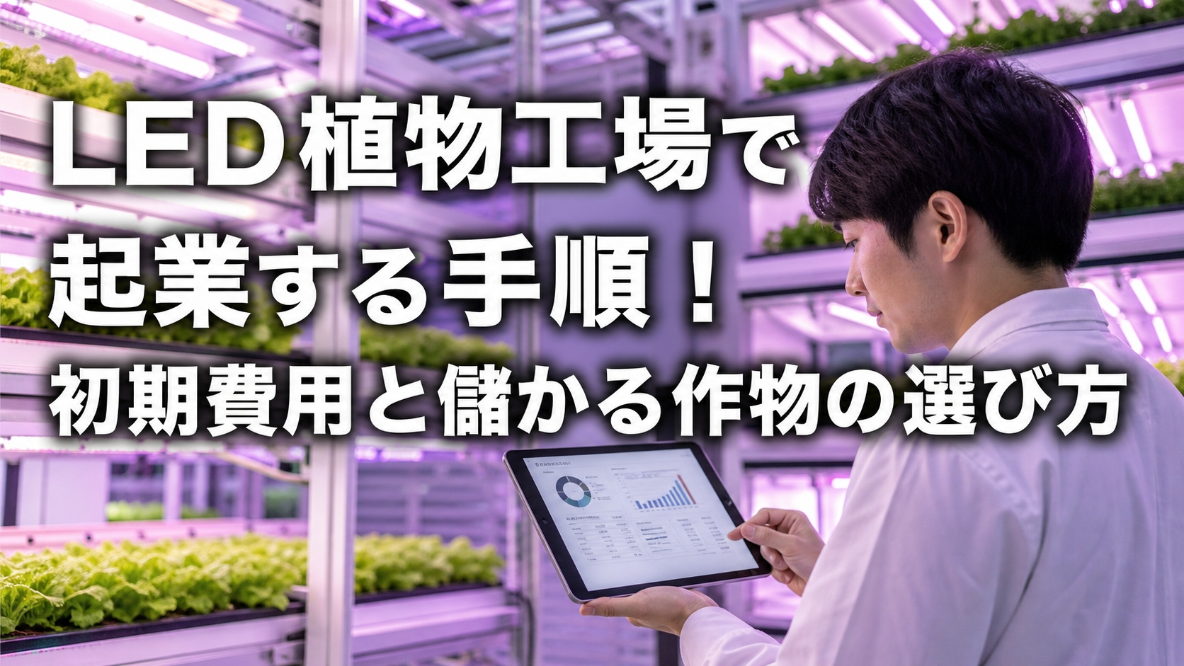 LED植物工場で起業する手順！初期費用と儲かる作物の選び方