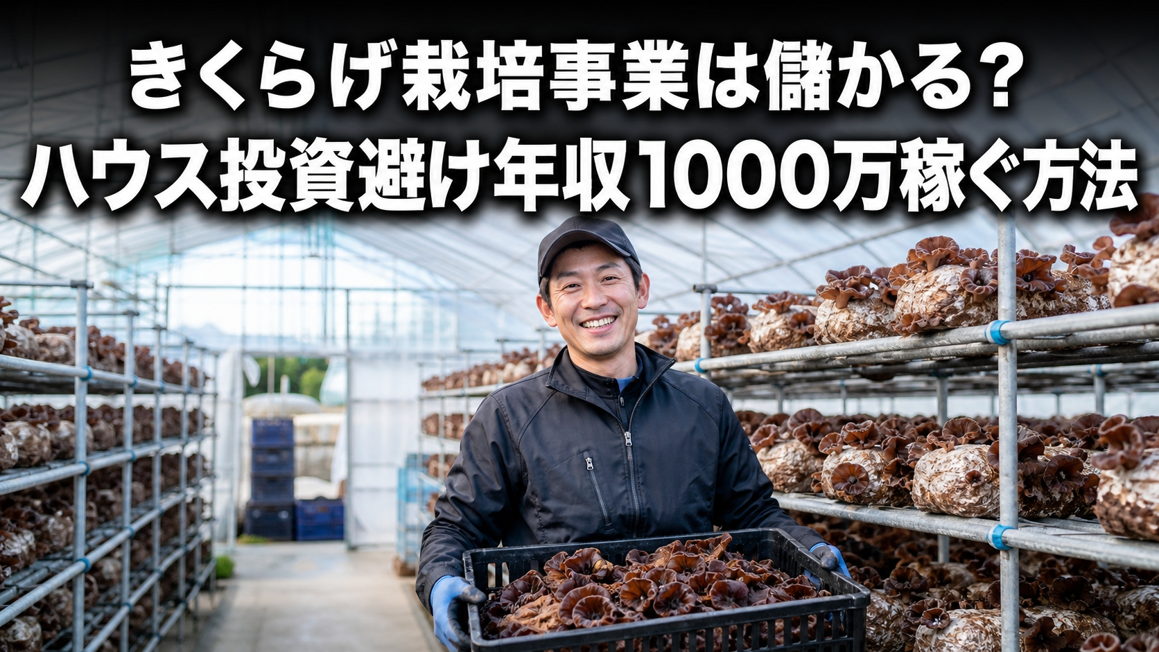きくらげ栽培事業は儲かる？ハウス投資避け年収1000万稼ぐ方法