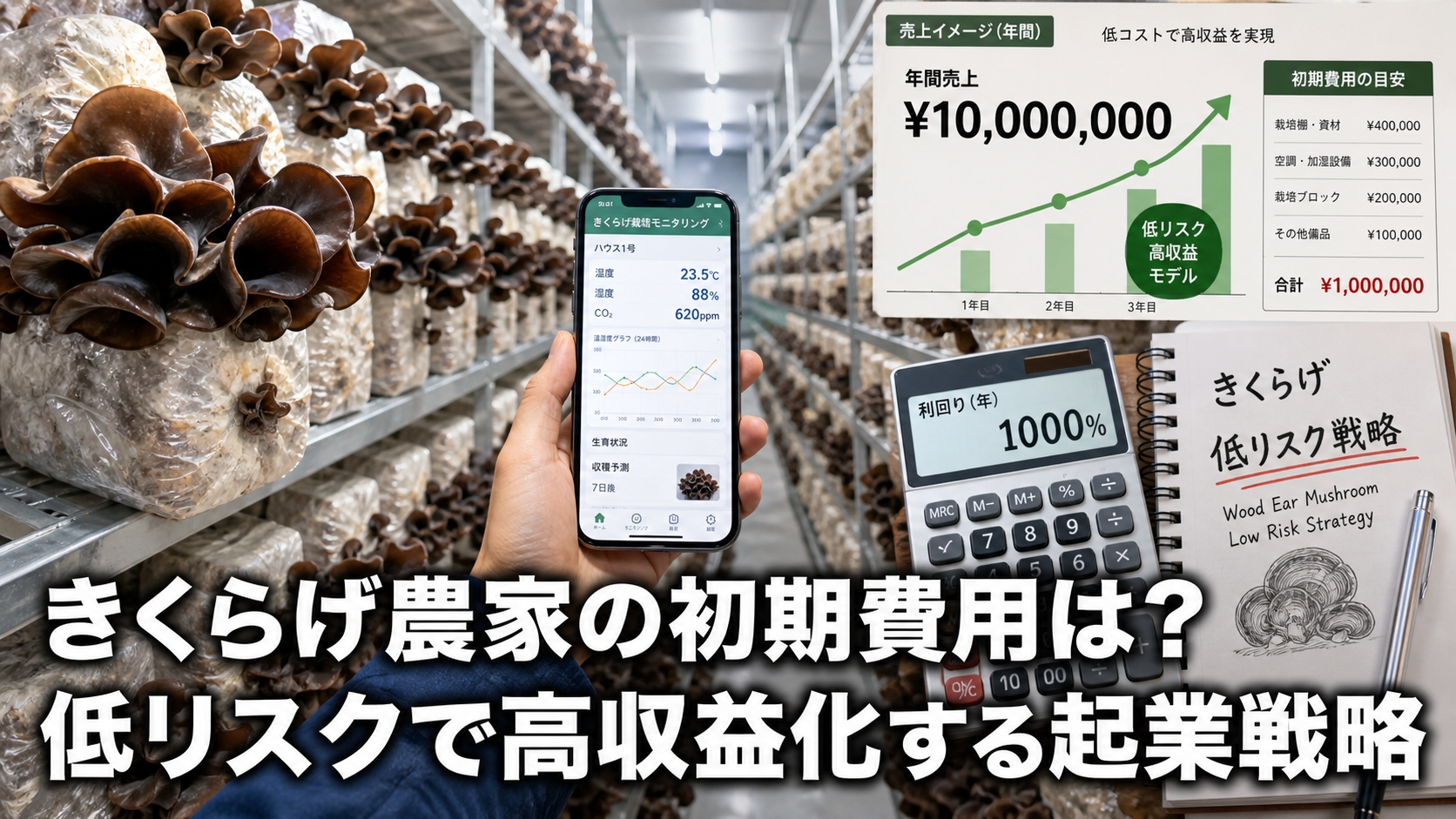 きくらげ農家の初期費用は？低リスクで高収益化する起業戦略