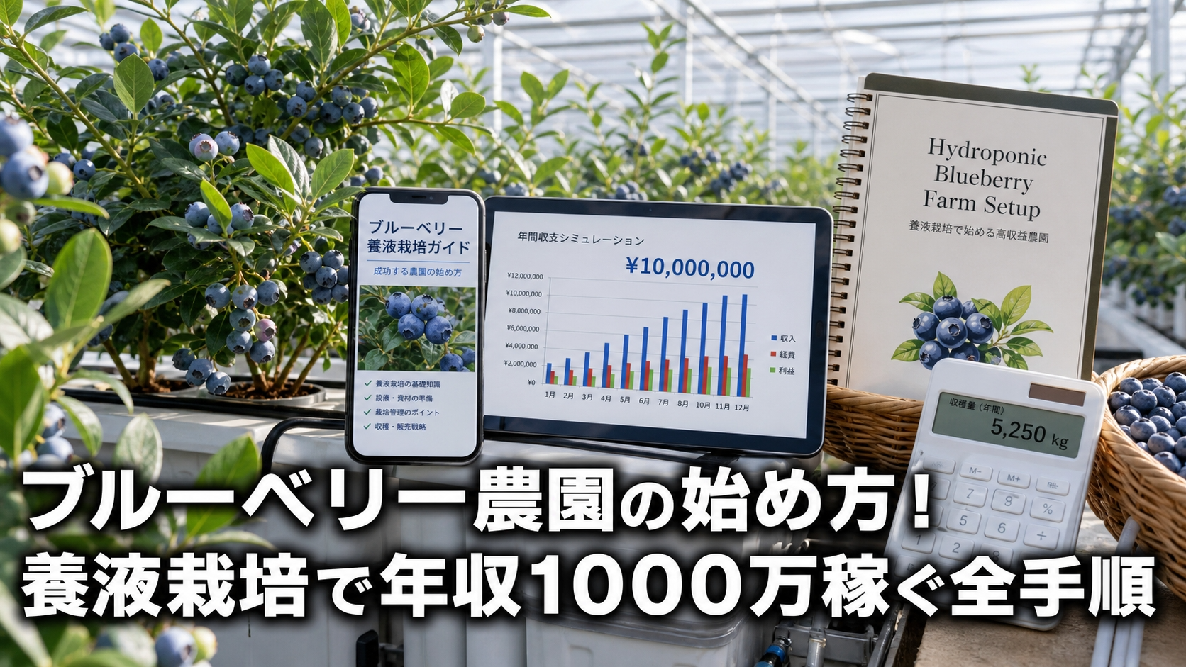 ブルーベリー農園の始め方！養液栽培で年収1000万稼ぐ全手順